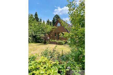 Ferienhaus Waldpfote in der Lüneburger Heide mit Hund - Neuenkirchen