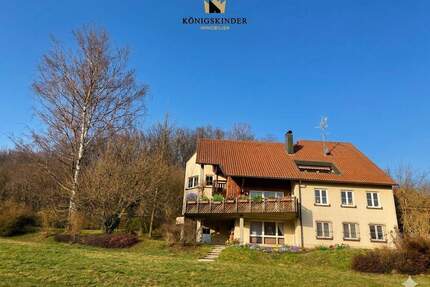 Raumgefühl der besonderen Art - Platz für mehrere Generationen - Kombination von Wohnen und Arbeiten - Wangen