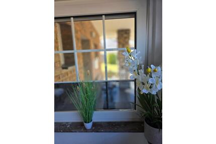 Ideal für ein ruhiges Solo-Wochenende - Köln Rodenkirchen