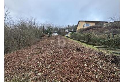 TOP LAGE + PREIS, 2 GRUNDSTÜCKE,EINZELVERKAUF - Lieser