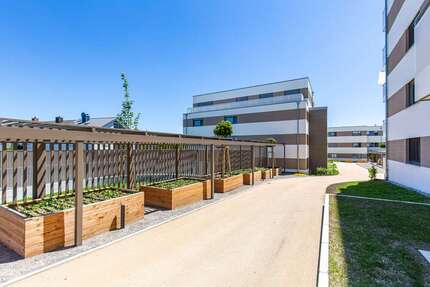 Wohnung zum Kaufen in Friedrichshafen 365.000,00 € 69.39 m²