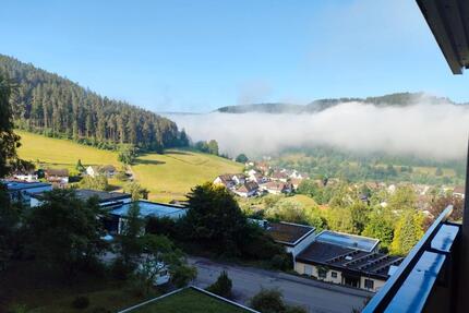 Eigentumswohung - 73.000,00&nbsp;EUR Kaufpreis, ca.&nbsp; 36,60&nbsp;m&sup2; in Baiersbronn (PLZ: 72270)