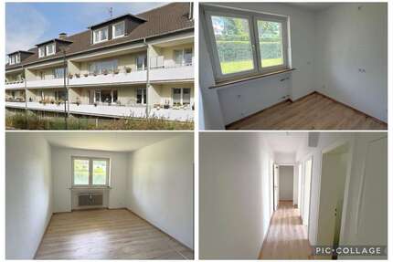Wohnung zum Mieten in Hagen 450,00 € 49 m²
