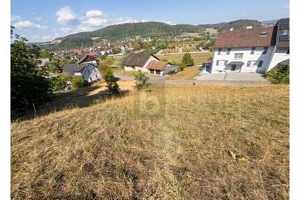 UNVERBAUBARE AUSSICHT IN BESTER HANGLAGE - Waldshut-Tiengen