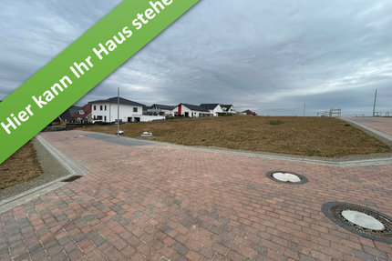 Haus zum Kaufen in Holle 416.450,00 € 166 m²