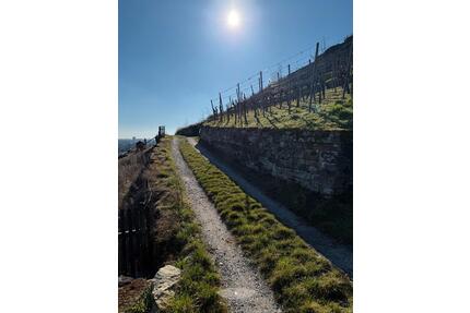 Garten - Ruheoase mit herrlicher Aussicht - Bietigheim-Bissingen