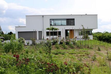 Ruhige Wohnung im Grünen zur Zwischenmiete Dez.-Feb. - Ihringen