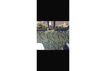 Erdgeschoss Wohnung - 854,00&nbsp;EUR Kaltmiete, ca.&nbsp; 71,00&nbsp;m&sup2; in Munster (PLZ: 29633)