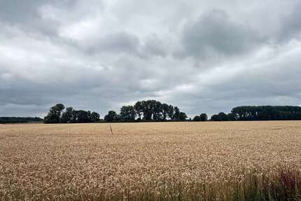 Grundstück zu verkaufen in Kevelaer 300.000,00 € 21458 m²