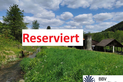 Historische Hofstelle mit arrondierten land-, forst- und teichwirtschaftlichen Flächen im LKR Nürnberger Land - Happurg Mosenhof