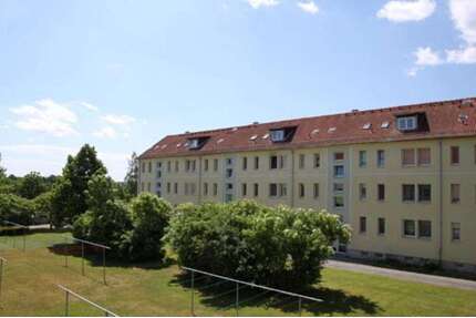 Wohnung zum Mieten in Meuselwitz 280,00 € 56 m²