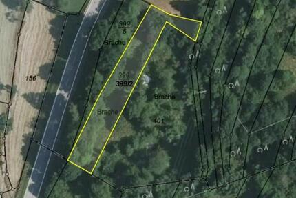 3 GrundstückeGrünland in Rutsweiler am Glan (HLO 77) - Rammelsbach