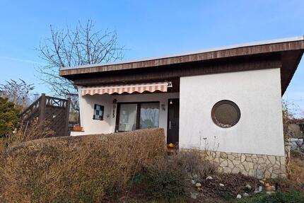 Garten im Kleingartenverein 