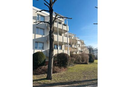 Einzimmerwohnung in Westercelle