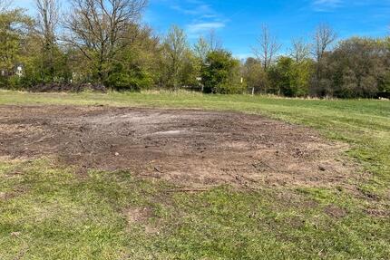 Wiese Weideland 2000qm - 250,00&nbsp;EUR Kaltmiete, ca.&nbsp; 0,00&nbsp;m&sup2; in Ahlen (PLZ: 59229) Dolberg