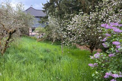 Ein grünes Baugrundstück in Catterfeld - Georgenthal
