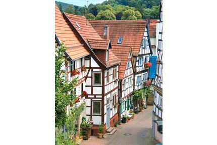 Bad Orb Haus 6-8Zimmer 120+15qm sofort frei