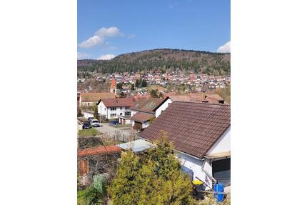 Zimmer zum vermiten - 550,00&nbsp;EUR Kaltmiete, ca.&nbsp; 25,00&nbsp;m&sup2; in Wehingen (PLZ: 78564)