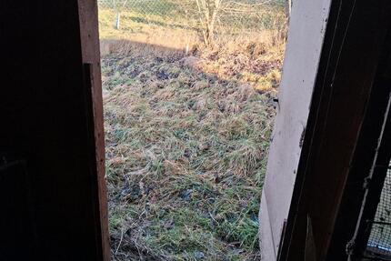 Hühnerstall zu vermieten - 35,00&nbsp;EUR Kaltmiete, ca.&nbsp; 0,00&nbsp;m&sup2; in Freudenstadt (PLZ: 72250)