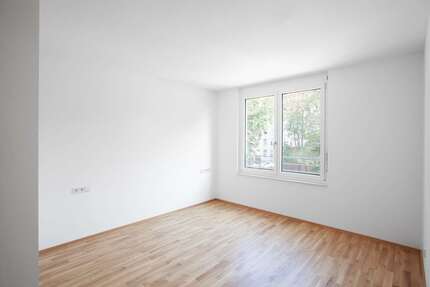 Wohnung zum Mieten in Dresden 1.615,00 € 116.92 m²