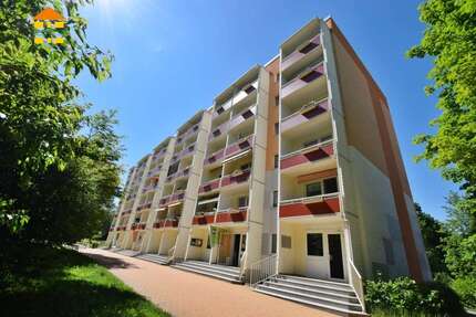 Wohnung zum Mieten in Chemnitz 305,00 € 55.89 m²