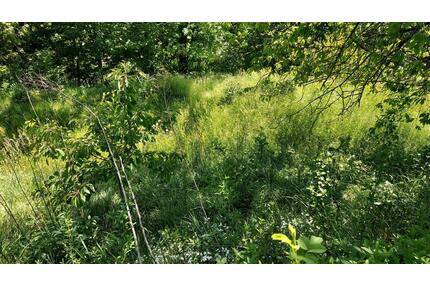 Privates Gartengrundstück in Thüringen ,Stadtroda 07646