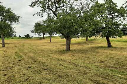 Grundstück zu verkaufen in Mühlingen 195.000,00 € 2146 m²