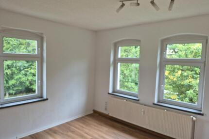 67qm Wohnung zu vermieten - 350,00&nbsp;EUR Kaltmiete, ca.&nbsp; 67,00&nbsp;m&sup2; in Niederwürschnitz (PLZ: 09399)