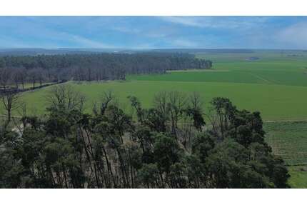 Haus zum Kaufen in Stein bei Nürnberg 697.000,00 € 154 m²