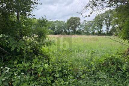 Grundstück zu verkaufen in Lutzhorn 350.000,00 € 10164 m²