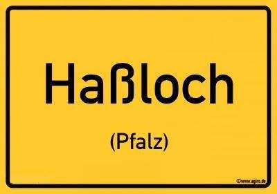 Haus zum Kaufen in Haßloch , Pfalz 418.400,00 € 134.76 m²
