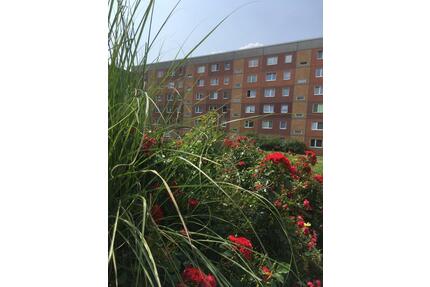 Panorama vor dem Balkon - 325,00&nbsp;EUR Kaltmiete, ca.&nbsp; 53,70&nbsp;m&sup2; in Olbersdorf (PLZ: 02785)