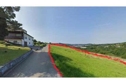 Weidingen (Wiltz): Wiese zu Verpachten - Mettendorf