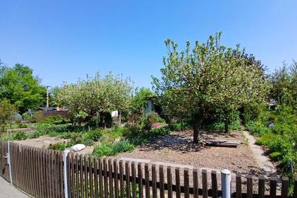 gepflegter Garten in 04564 Böhlen (massive Laube, Kü.,WC, Geräte)