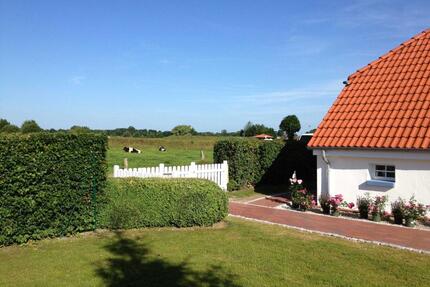 Ferienhaus mit Hund am See Ostfriesland Nordsee - Großheide