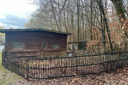 Freizeitgrundstück, Parzelle, Campingplatz, Wiese, Wald, Garten, - Usingen