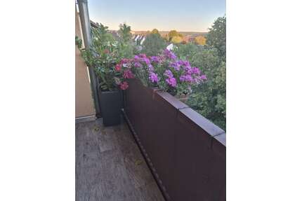 Wohnung zum Kaufen in Hammelburg 279.000,00 € 74 m²