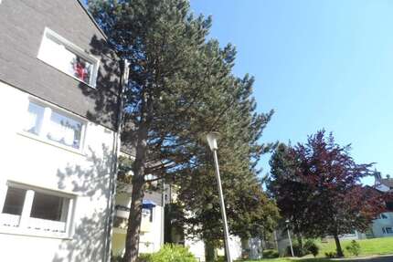 Wohnung zum Mieten in Essen 253,87 € 40.8 m²