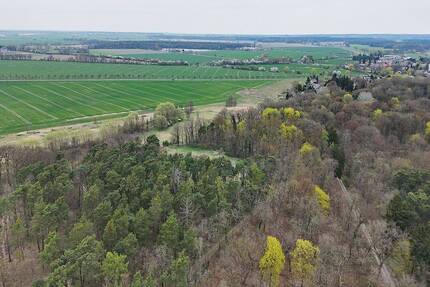1,6 ha forstwirtschaftliche Fläche - Steinhöfel