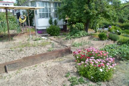 Garten in ruhiger Lage - 600,00&nbsp;EUR Kaltmiete, ca.&nbsp; 0,00&nbsp;m&sup2; in Eisenhüttenstadt (PLZ: 15890)