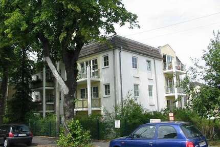 Wohnung zum Mieten in Dresden 310,00 € 36.61 m²