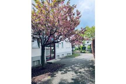 Wohnung zum Mieten in Augsburg 1.000,00 € 52.4 m²