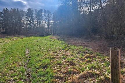 Wiese für Garten, Tierhaltung oder Ihre eigene Ideen - Burgdorf