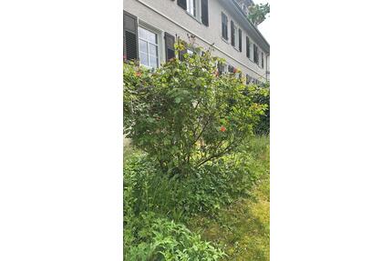 4-Zimmer-Wohnung mit 105 m² HDH - Heidenheim an der Brenz