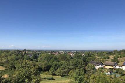 Wohnung zum Mieten in Baden-Baden 1.350,00 € 196 m²