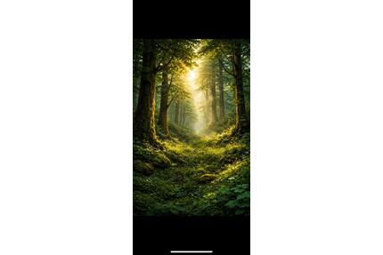Waldgrundstück im Odenwald - 5.000,00&nbsp;EUR Kaltmiete, ca.&nbsp; 0,00&nbsp;m&sup2; in Lautertal (Odenwald) (PLZ: 64686)