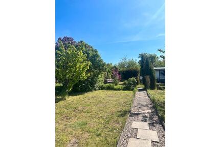 650qm Pachtgarten mit Laube + Wasser+ Strom - Magdeburg Beyendorf-Sohlen