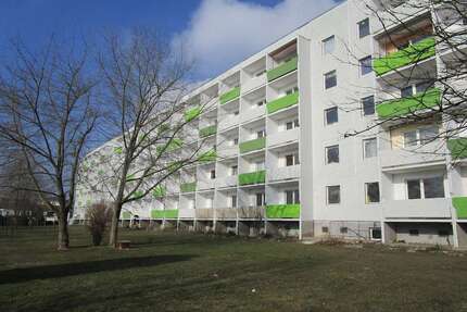 Wohnung zum Mieten in Döbeln 210,00 € 28.65 m²