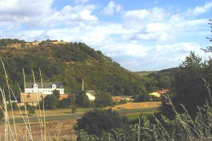 Ausgefallene LIEBHABER-Wohnung – 2-Zi.-Maisonette-Studiowohnung unweit Kurstadt 55543 Bad Kreuznach - Hackenheim