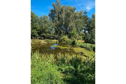 Anwesen auf 8.360 m² – Raum für Visionen - Konradsreuth